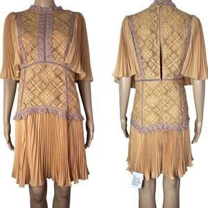 ASOS Tan Lace and Pleated Mini Dress